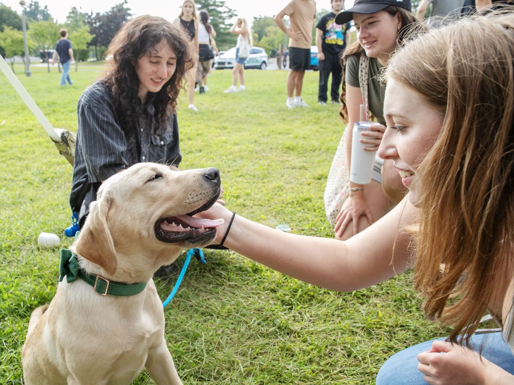 Students pet a lab puppy wearing a green bowtie.