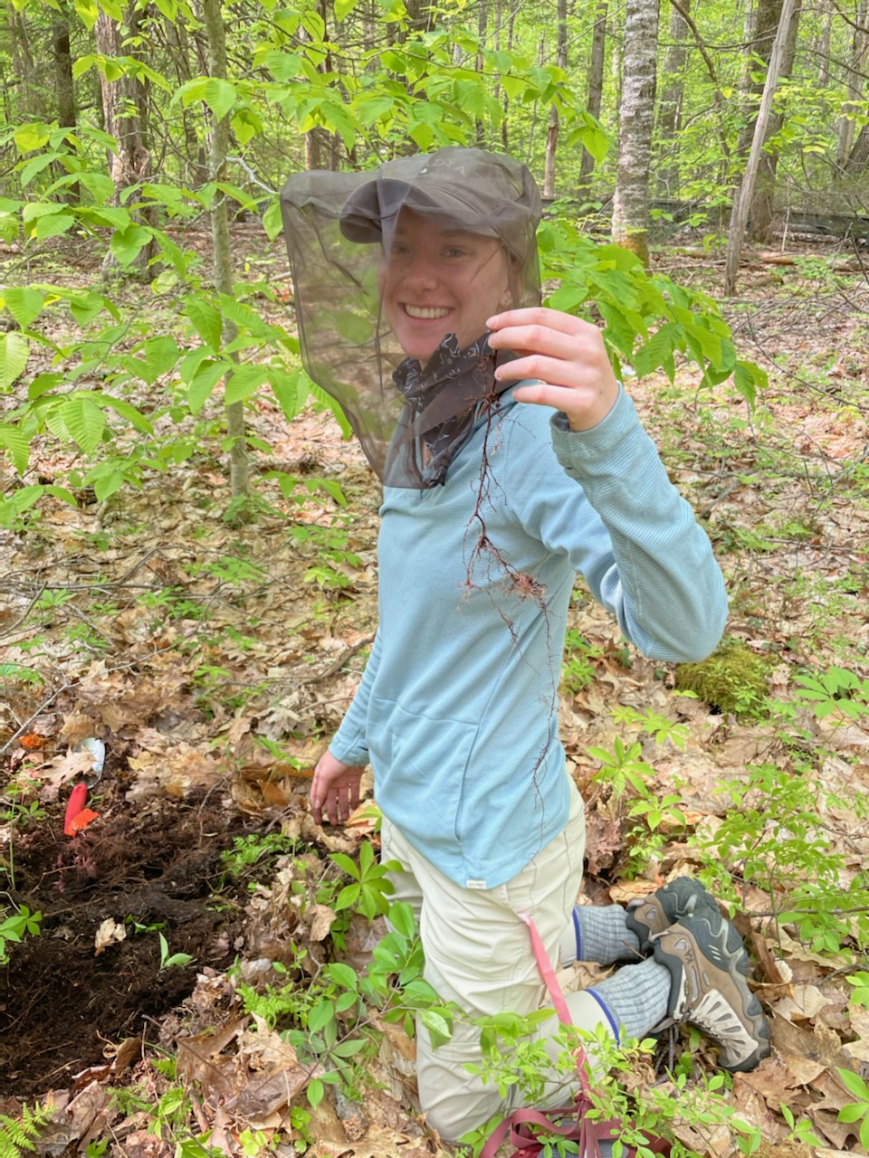 Katherine Almquist ’24 as a research intern at Harvard Forest