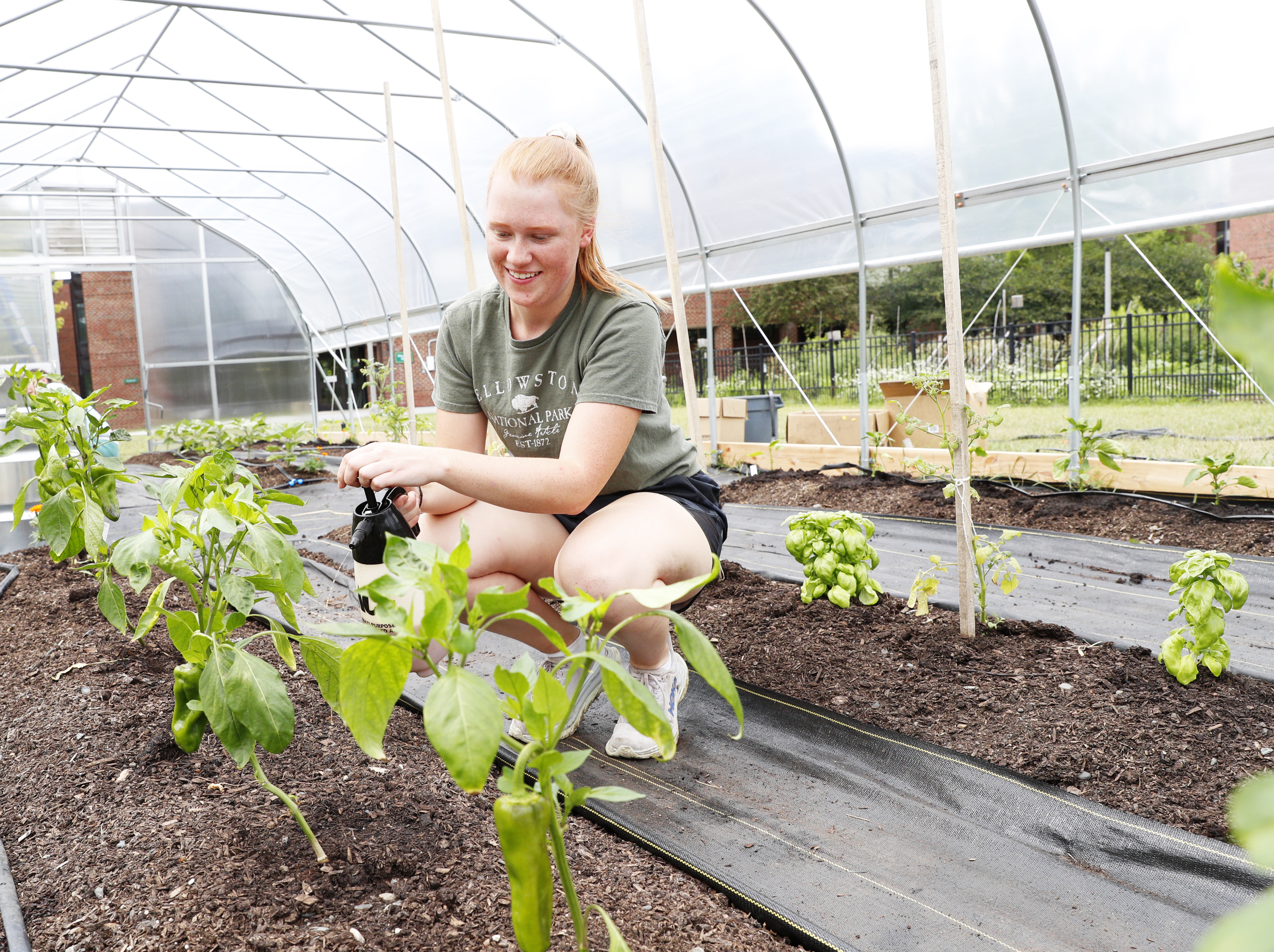 $40,000 to Launch Food Systems Initiative