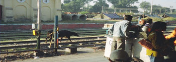 Train station in Gaya, photo taken by Hunter Marston, '07.