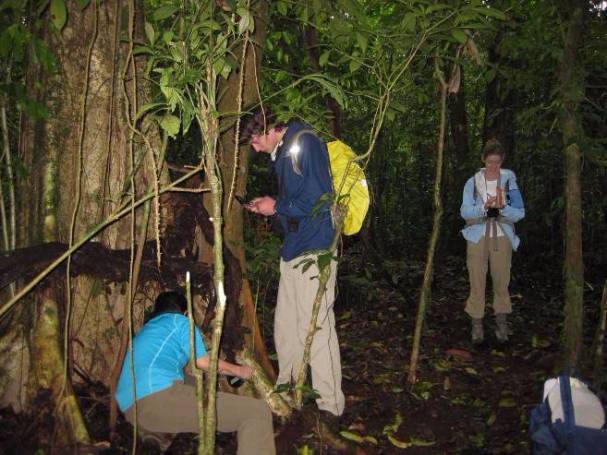 night hike