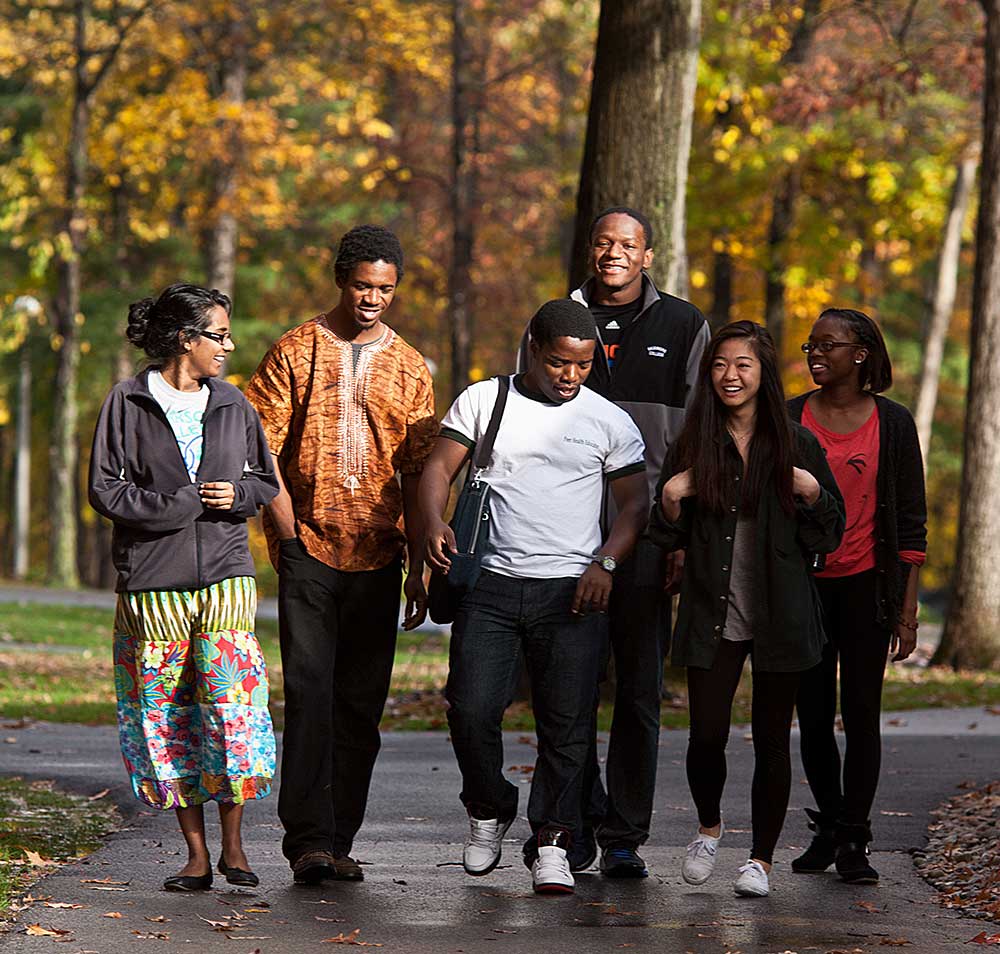 Group of students walking down path