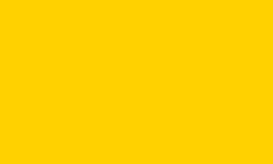 Skidmore Yellow