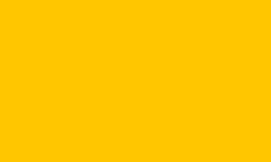 Skidmore Darker Yellow