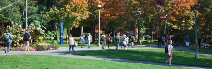 Fall on campus