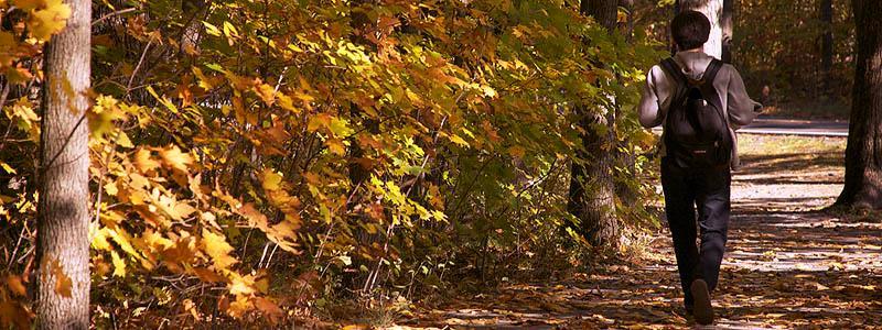 Walking through the leaves