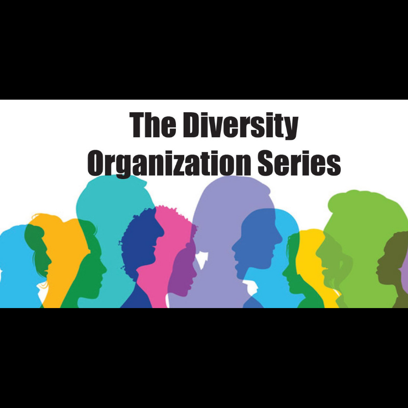 Diversity+Organization+Series