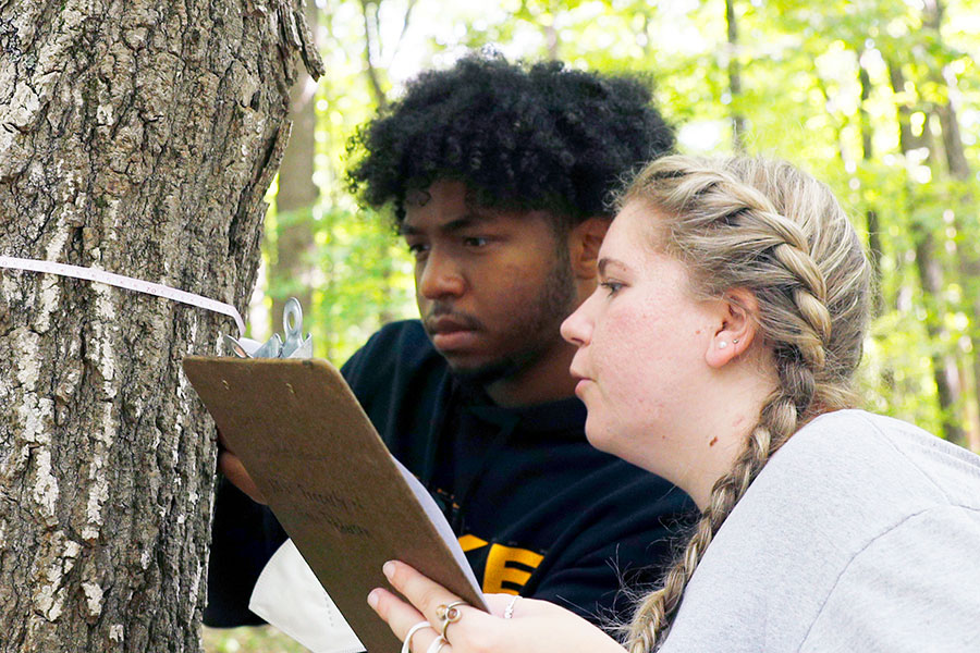 Skidmore students performing research outdoors