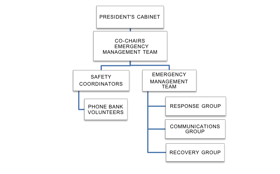 Emergency Response Team Organization