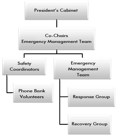 Management Team Structure Chart