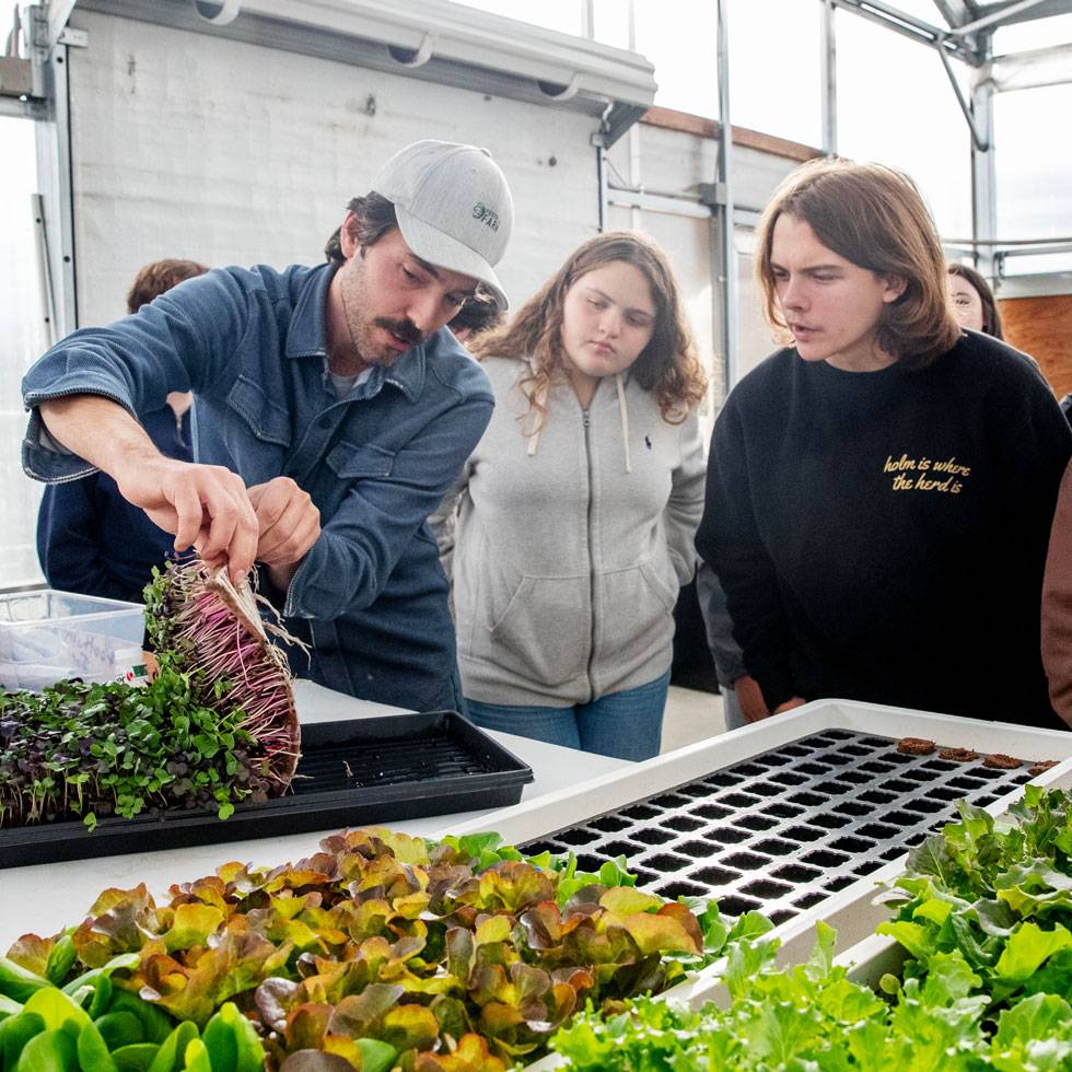 Two students watch a gardener pull back plants being grown in a tray to explore their root sytem