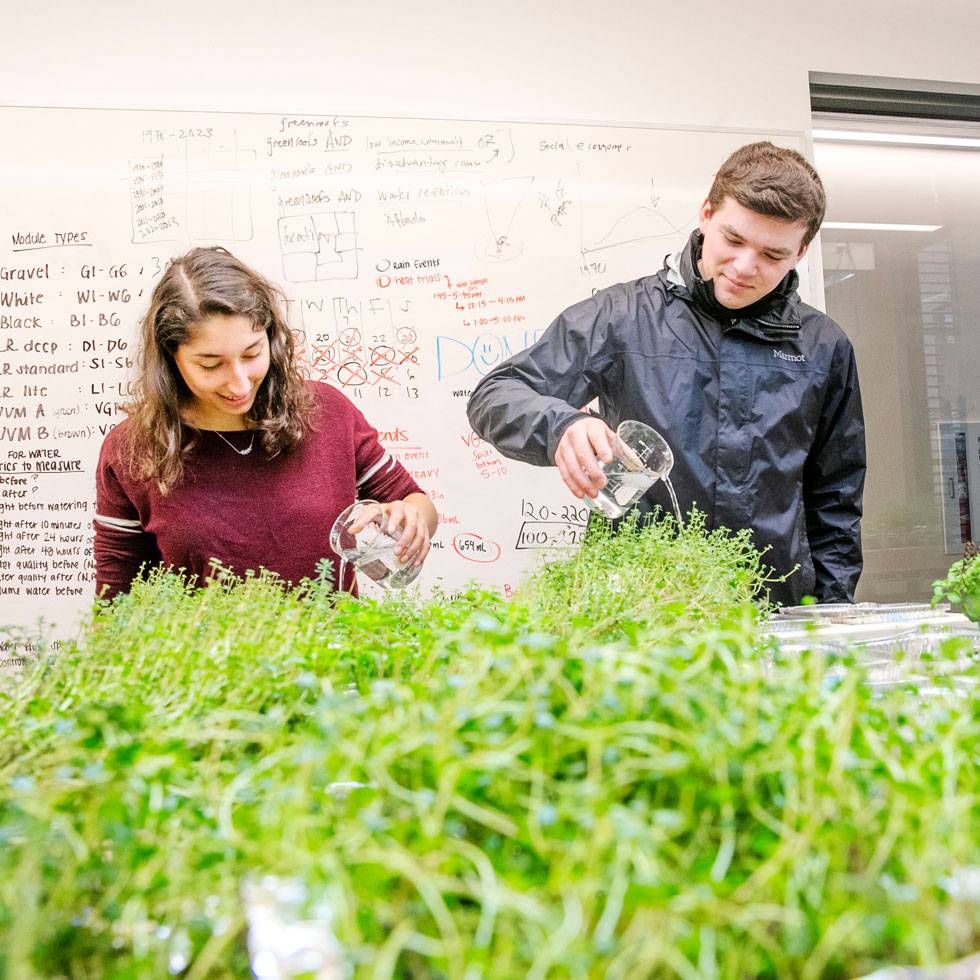 Two students stand pouring water onto green plants with a whiteboard in the background