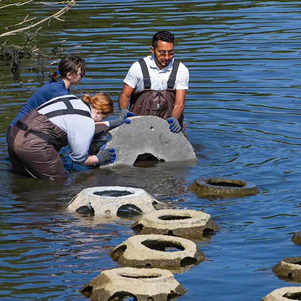 Melvin Alvarez '15 works in water with colleagues. 