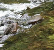 A creek in the Adirondacks