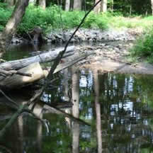 A stream in the Adirondacks