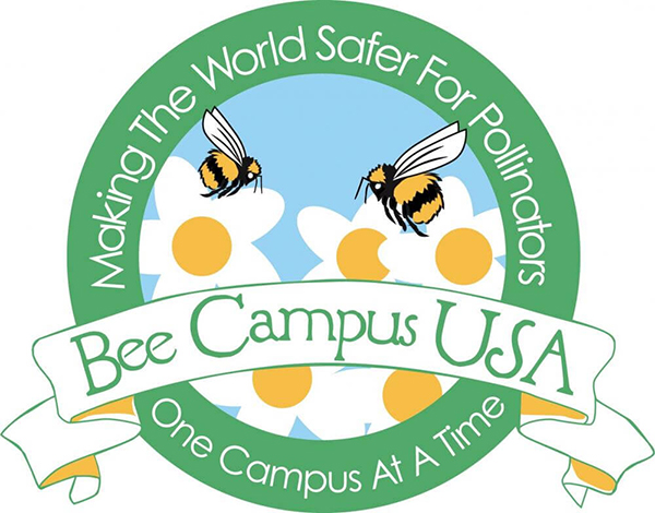 Skidmore College: Bee-ing the Change
