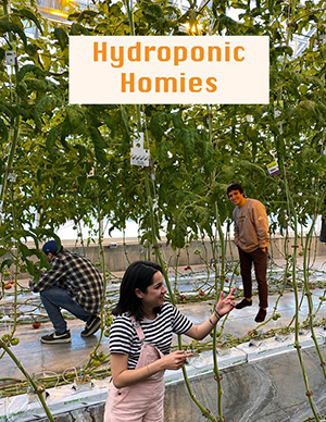 Hydroponics