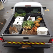 Feeding Mouths, Not Landfills: An Analysis of Food Recovery Efforts in Saratoga Springs