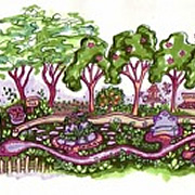 Bringing the Forest into the City: Creating a Community Food Forest for Saratoga Springs