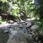 A stream in the Adirondacks