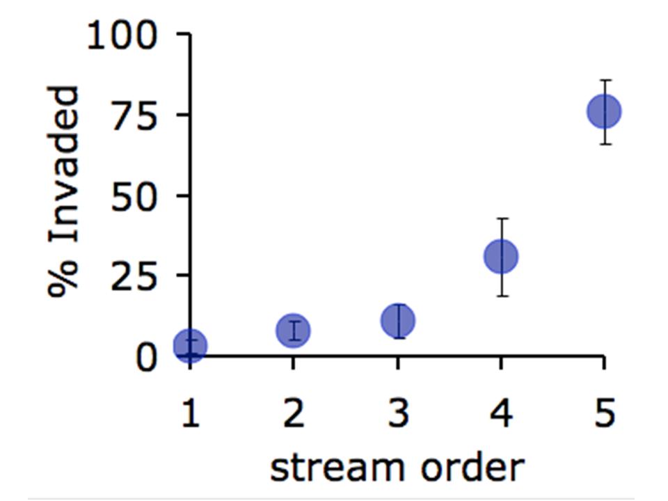 distribution chart