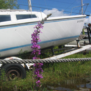 Sailboat in a towing trailer