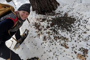 Lead-Contaminated Soils in Saratoga Springs and Hormone-Stimulated Phytoextrax...