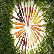 An array of carrots in a wheel-shape