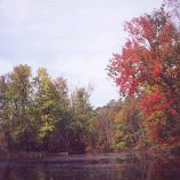 Kayaderosseras Creek in the fall