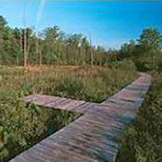 A wood walkway near Kayaderosseras Creek