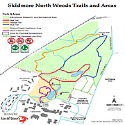 Understanding the Competing User of Skidmore's Commons