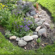 Rain garden