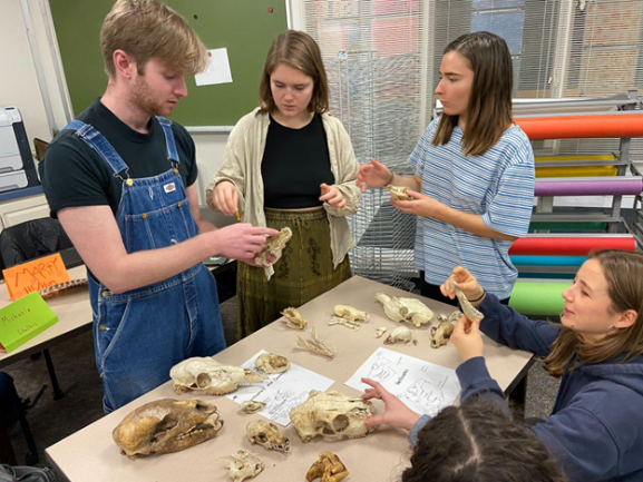 4 student examining fossils