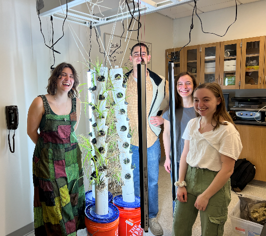 Students growing hydroponic plants