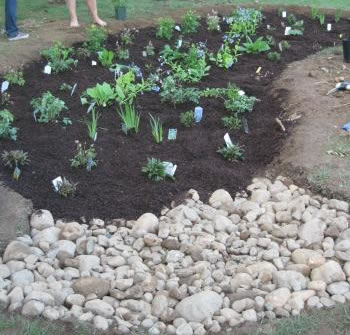 rain garden for storm water management