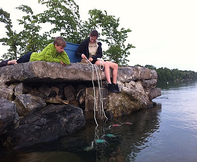 Water quality data from Finger Lakes