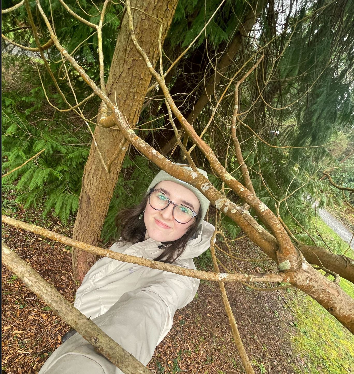 julia tree