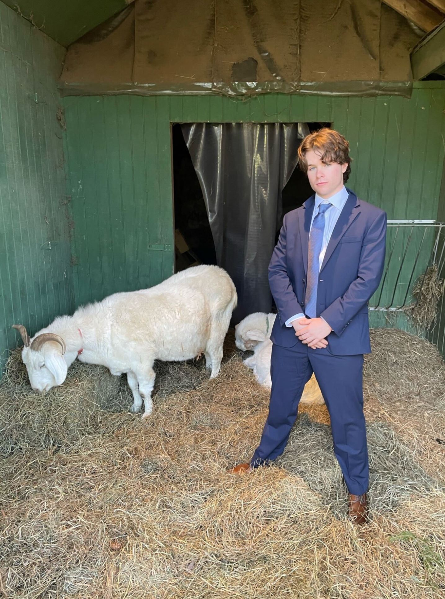 chris goats
