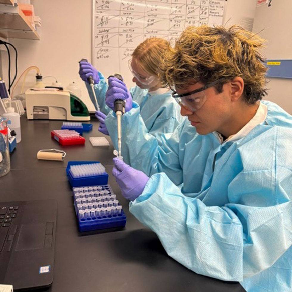 Two students work in a lab wearing safety glasses, a white lab coat, and blue gloves. They are piping something into a vial for research.