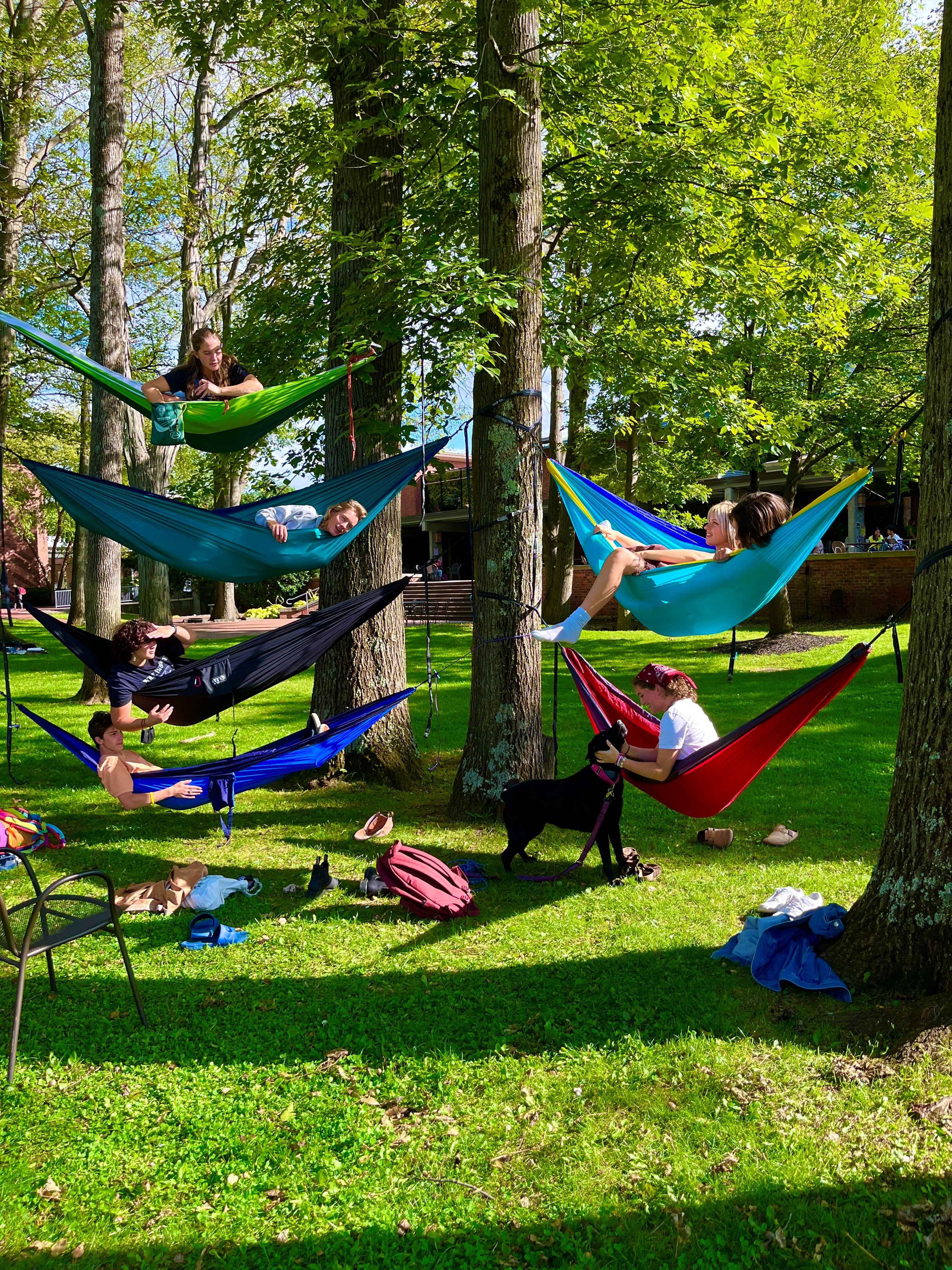 Student in Hammocks on Campus