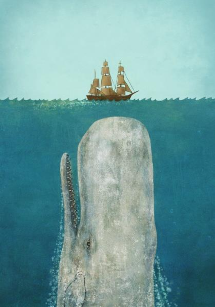 Whale Under a Ship Illustration
