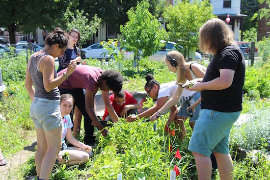 Community Garden