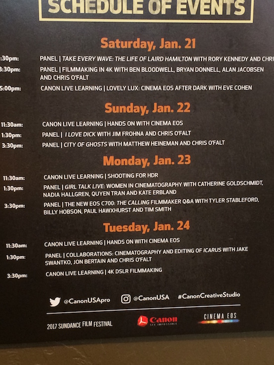 Sundance TV Panels