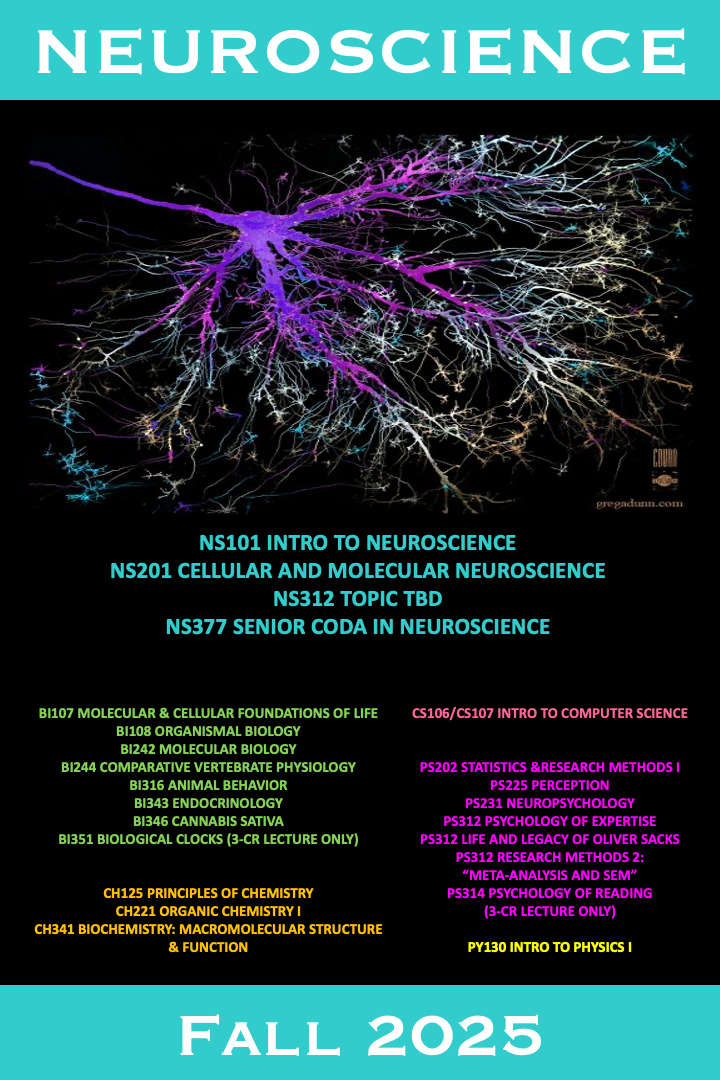 Fall 2025 NS Courses Fall 2025 NS Courses