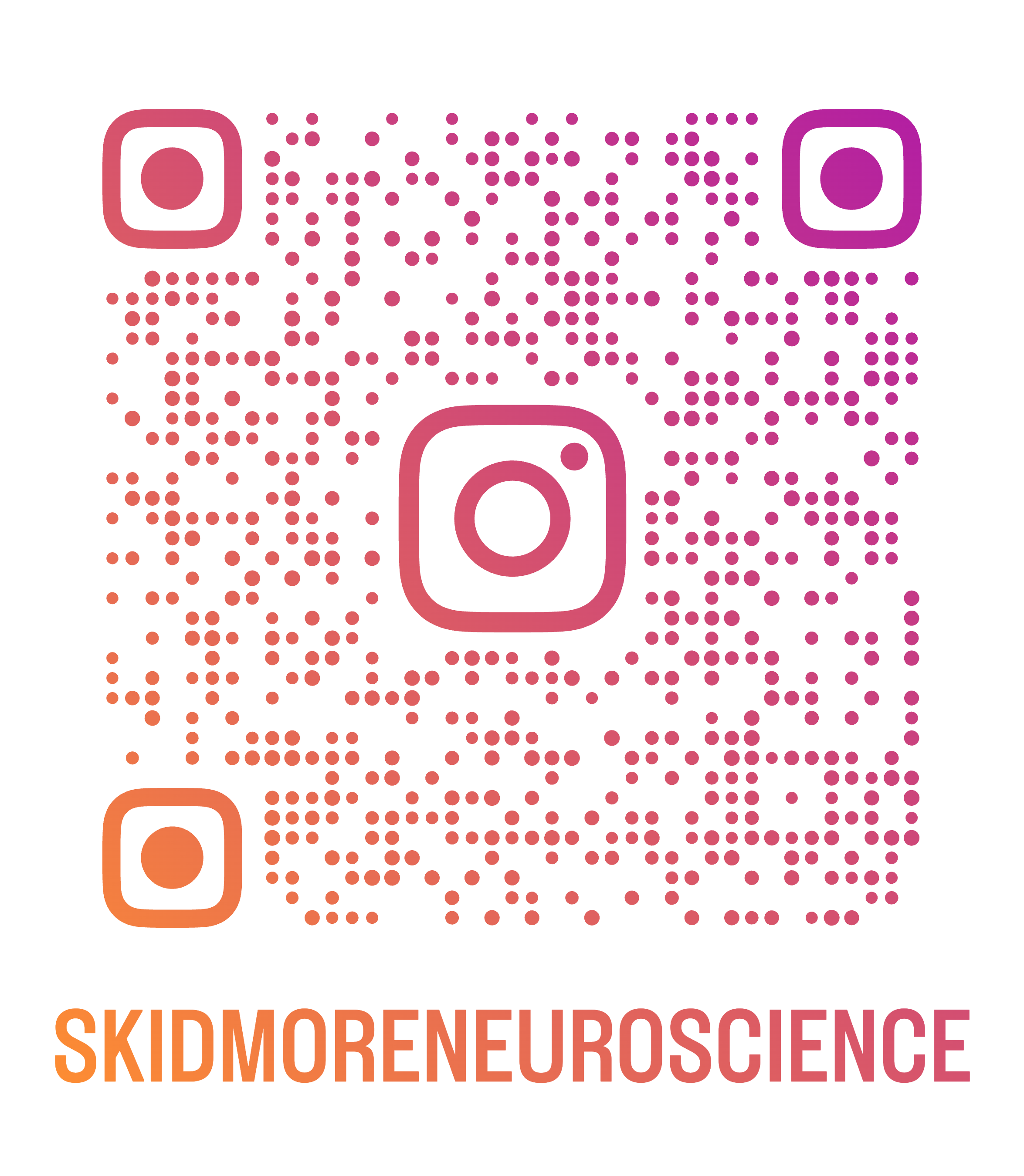 NS Instagram QR Code
