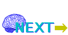 Next