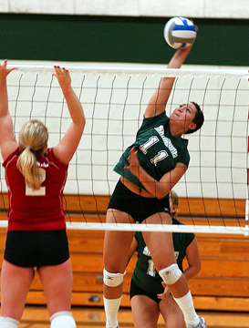 Volleyball Volleyball