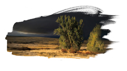 Just Passing Through