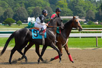 Saratoga Race Course