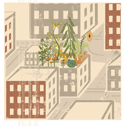 Rooftop gardening